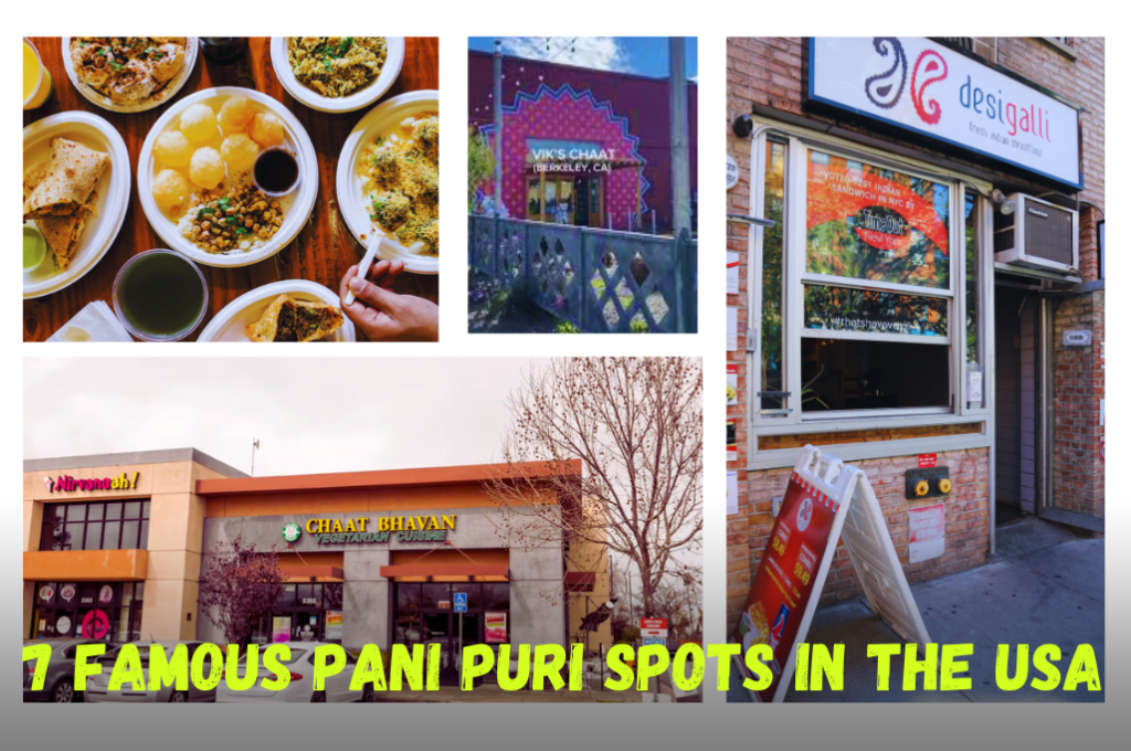 7 Famous Pani Puri Spots in the USA